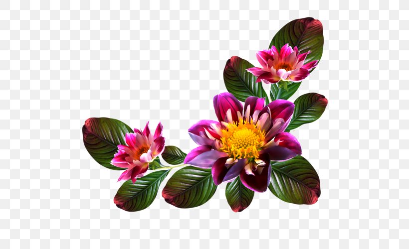 Image Computer File Clip Art Flower, PNG, 500x500px, Flower, Alstroemeriaceae, Annual Plant, Cut Flowers, Data Download Free