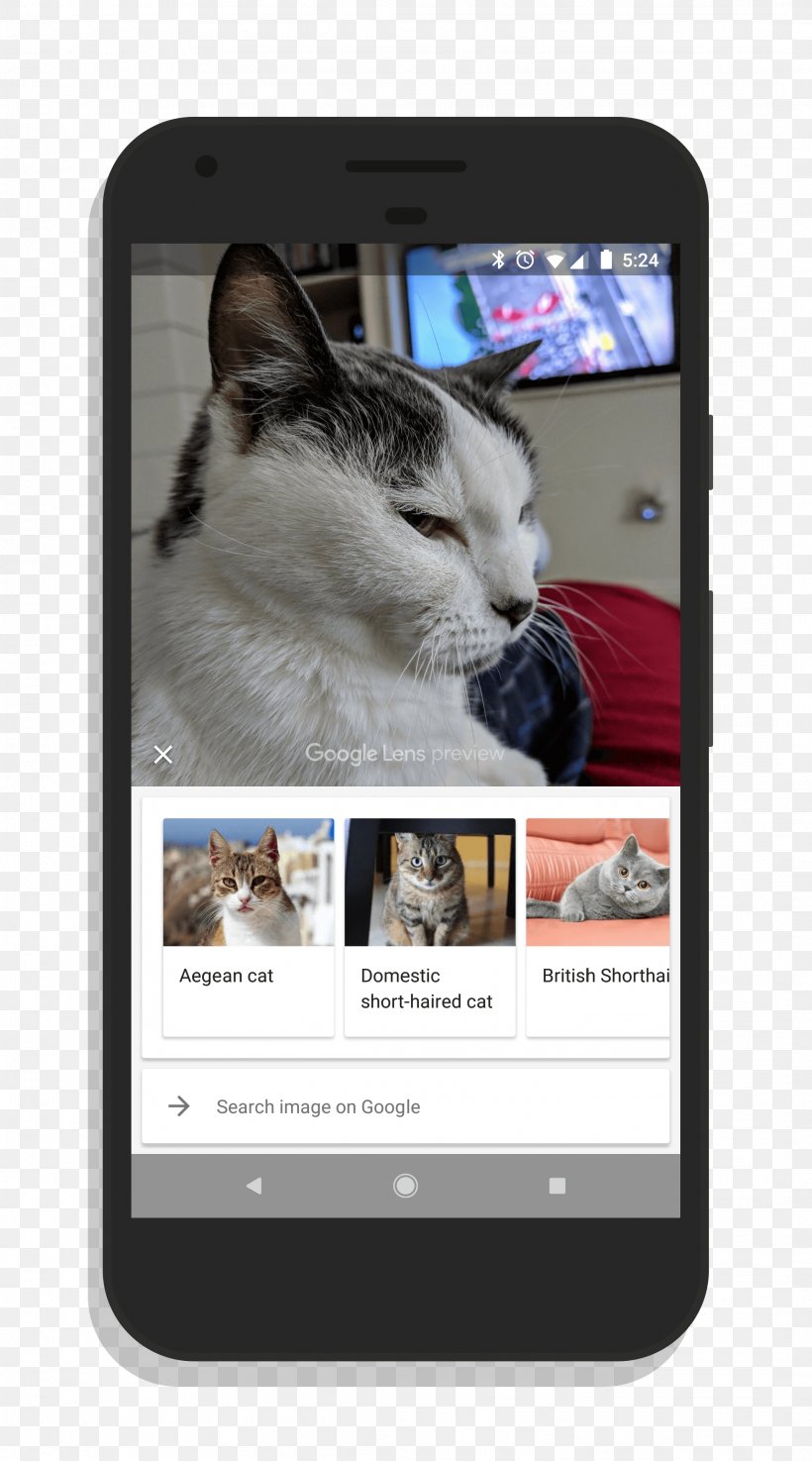 Smartphone Google Lens Google Camera Google Pixel, PNG, 2134x3840px, Smartphone, Android, Business, Cat, Cat Like Mammal Download Free