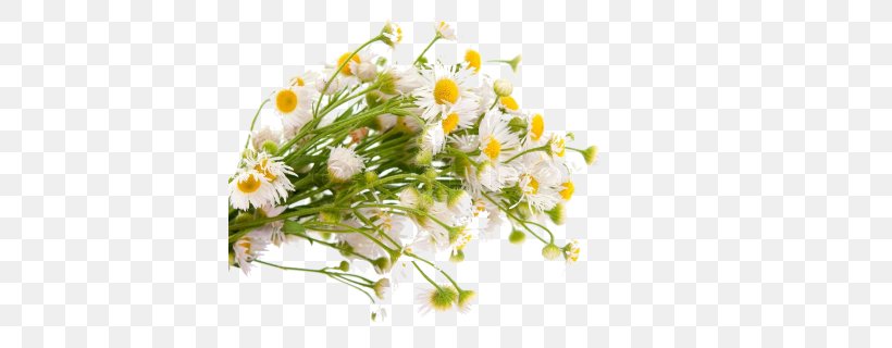 Common Daisy Flower Bouquet Royalty-free, PNG, 400x320px, Common Daisy, Aster, Chamaemelum Nobile, Communicatiemiddel, Daisy Download Free