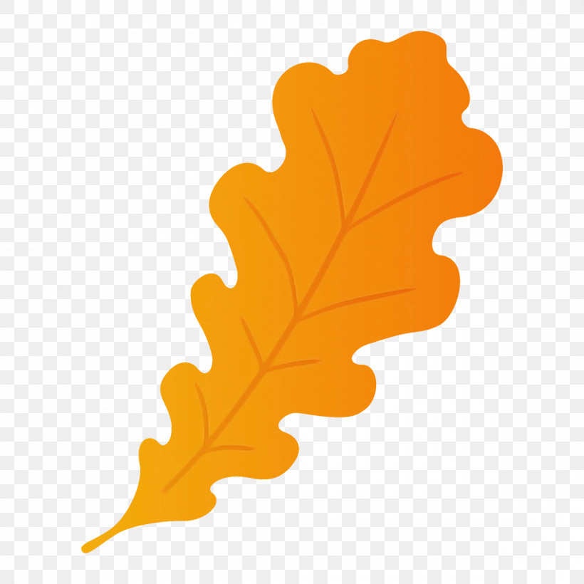 Maple Leaf, PNG, 1200x1200px, Leaf, Black Maple, Maple Leaf, Oak, Orange Download Free