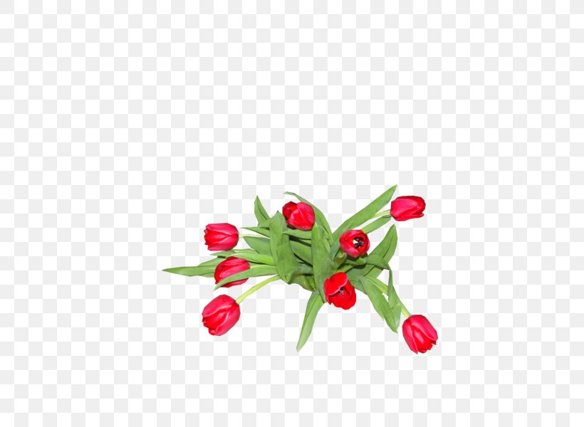 Cut Flowers Flowering Plant Plant Stem Petal Fruit, PNG, 600x600px, Cut Flowers, Flower, Flowering Plant, Fruit, Petal Download Free