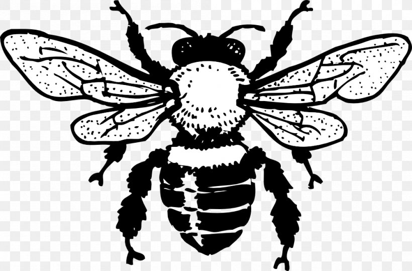 European Dark Bee Black And White Line Art Clip Art, PNG, 999x657px, European Dark Bee, Art, Arthropod, Bee, Beehive Download Free