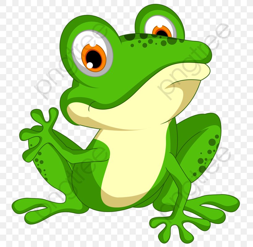 Frog Cartoon, PNG, 768x800px, Frog, Agalychnis, Bufo, Bullfrog, Cartoon Download Free