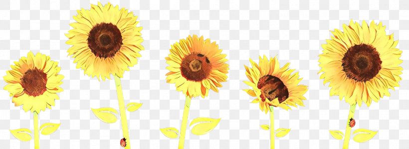 Flowers Background, PNG, 1499x548px, Cartoon, Asterales, Common Sunflower, Computer, Cut Flowers Download Free