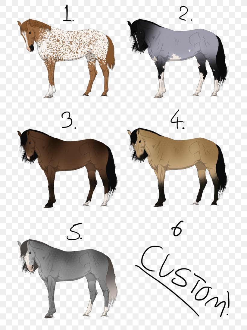 Mustang Mare Dutch Warmblood Stallion Foal, PNG, 730x1095px, Mustang, Animal, Breed, Donkey, Dutch Warmblood Download Free