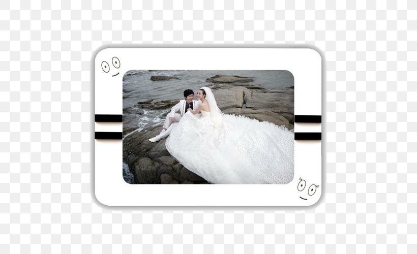 Picture Frame Actor, PNG, 555x500px, Picture Frame, Actor, Bird, Ducks Geese And Swans, Feather Download Free