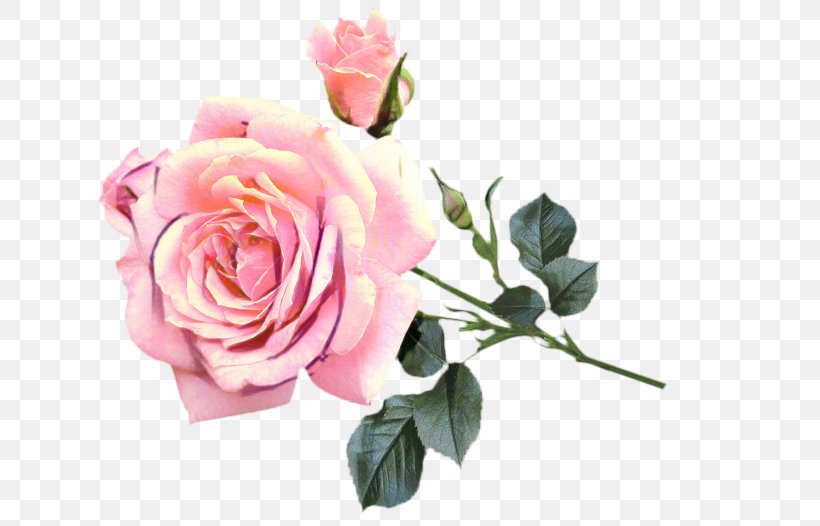 Pink Flower Cartoon, PNG, 639x526px, Garden Roses, Artificial Flower, Bouquet, Branch, Bud Download Free