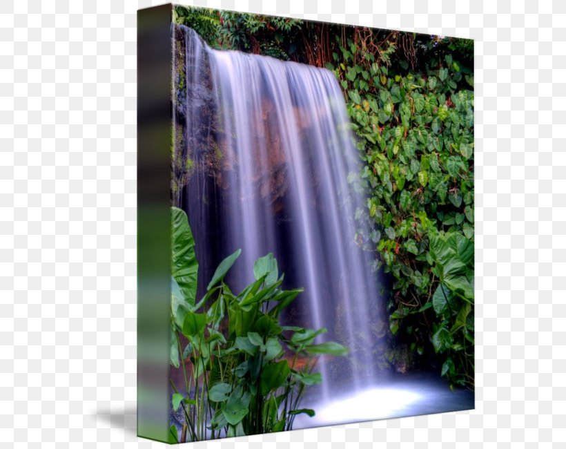 Waterfall Water Resources Nature Reserve Vegetation Watercourse, PNG, 571x650px, Waterfall, Body Of Water, Chute, Natural Resource, Nature Download Free