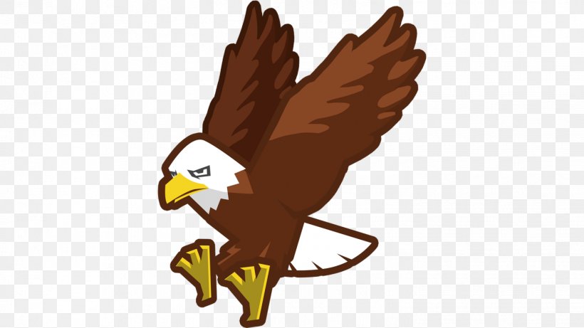 Eagle Hawk Beak Chicken As Food Clip Art, PNG, 1455x818px, Eagle, Beak, Bird, Bird Of Prey, Chicken Download Free