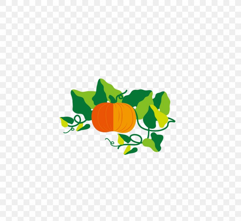 Pumpkin Food Gourd, PNG, 1165x1072px, Pumpkin, Cartoon, Cucumber, Food, Gourd Download Free