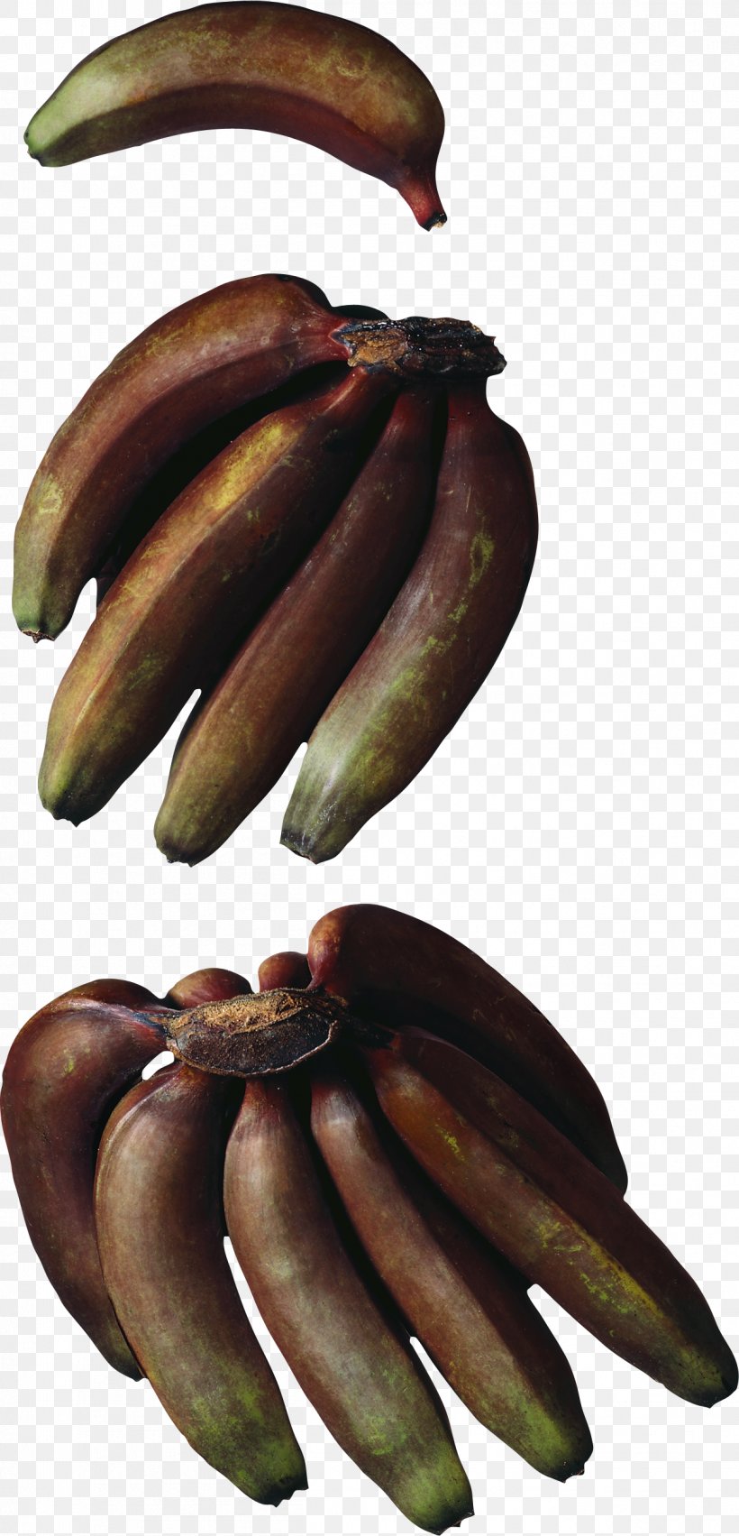 Cooking Banana Hardy Banana Red Banana Musa × Paradisiaca, PNG, 1251x2599px, Banana, Banana Family, Cooking, Cooking Banana, Cooking Plantain Download Free