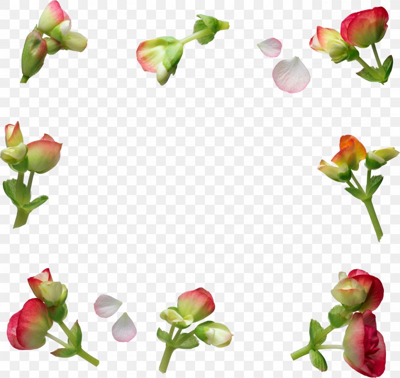 Flower International Women's Day Clip Art, PNG, 2770x2619px, Flower, Blume, Cut Flowers, Floral Design, Flowering Plant Download Free