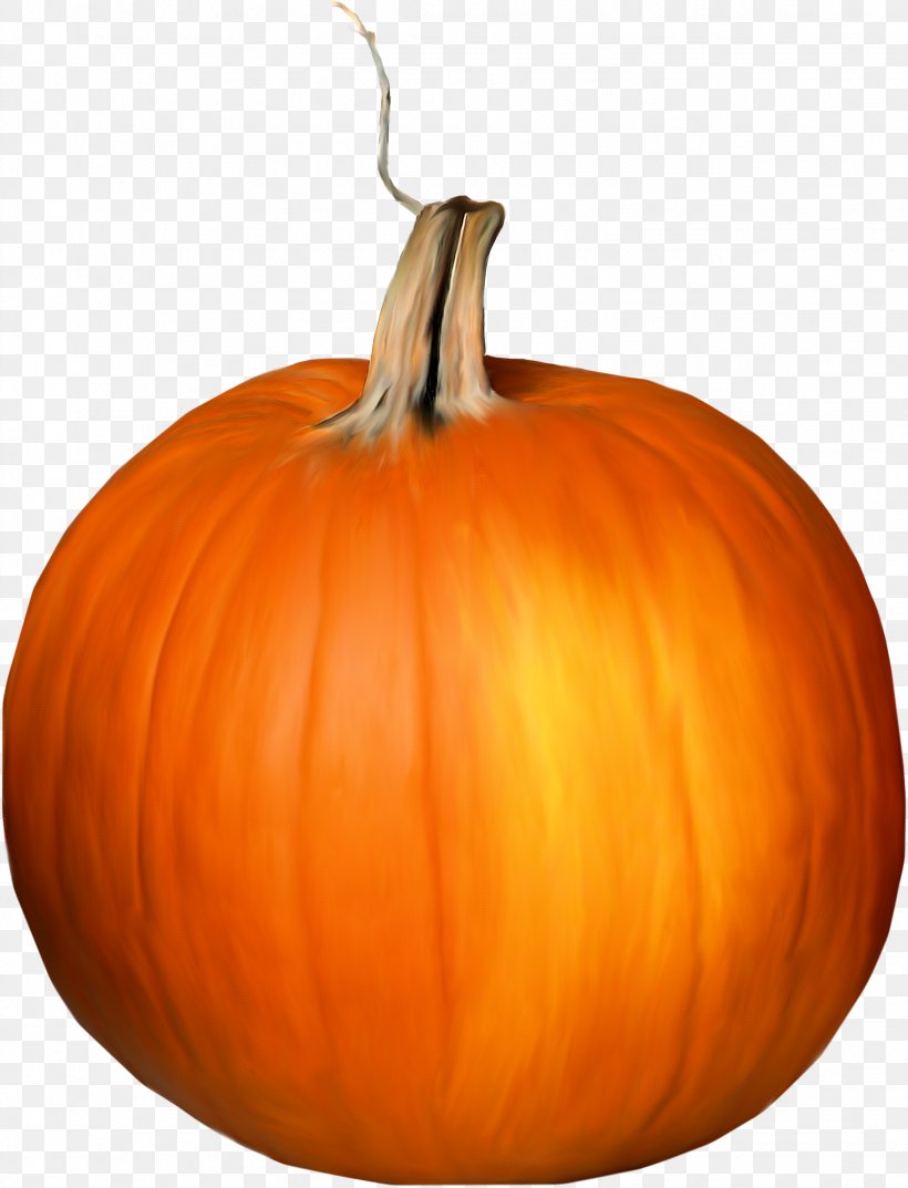 Jack-o-lantern Calabaza Pumpkin Gourd, PNG, 1532x2005px, Jackolantern, Button, Calabaza, Carving, Co Cou90fdu53ef Download Free