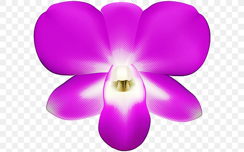 Lavender, PNG, 600x511px, Moth Orchids, Biology, Flower, Lavender, Lilac Download Free
