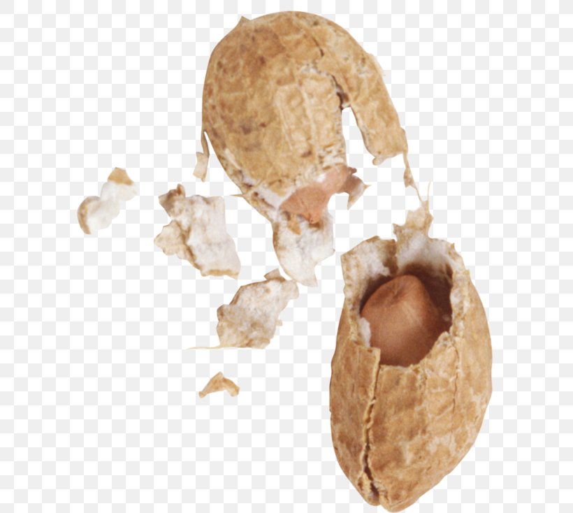 Peanut, PNG, 600x734px, Peanut, Food, Legume, Nut, Plant Download Free