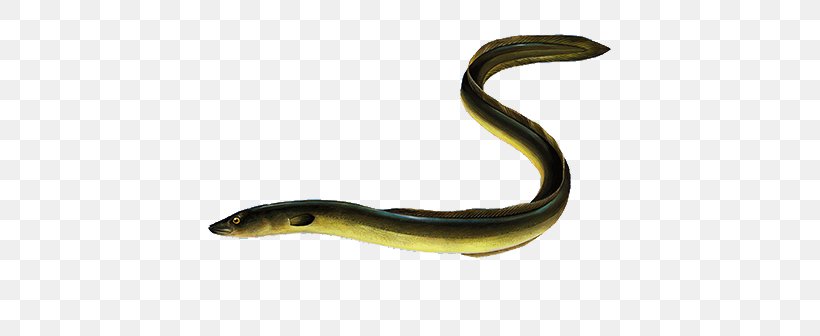 Reptile Worm Body Jewellery European Eel, PNG, 768x336px, Reptile, Animal Figure, Body Jewellery, Body Jewelry, European Eel Download Free