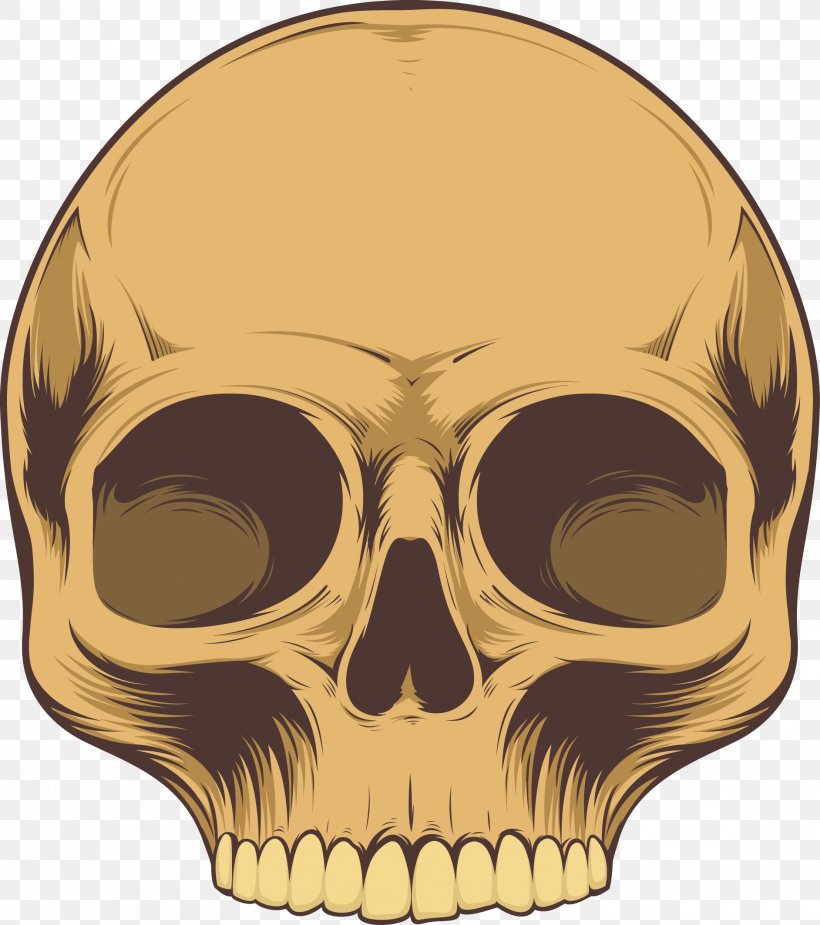Skull Skeleton, PNG, 1884x2126px, Skull, Bone, Drawing, Element, Facial Hair Download Free
