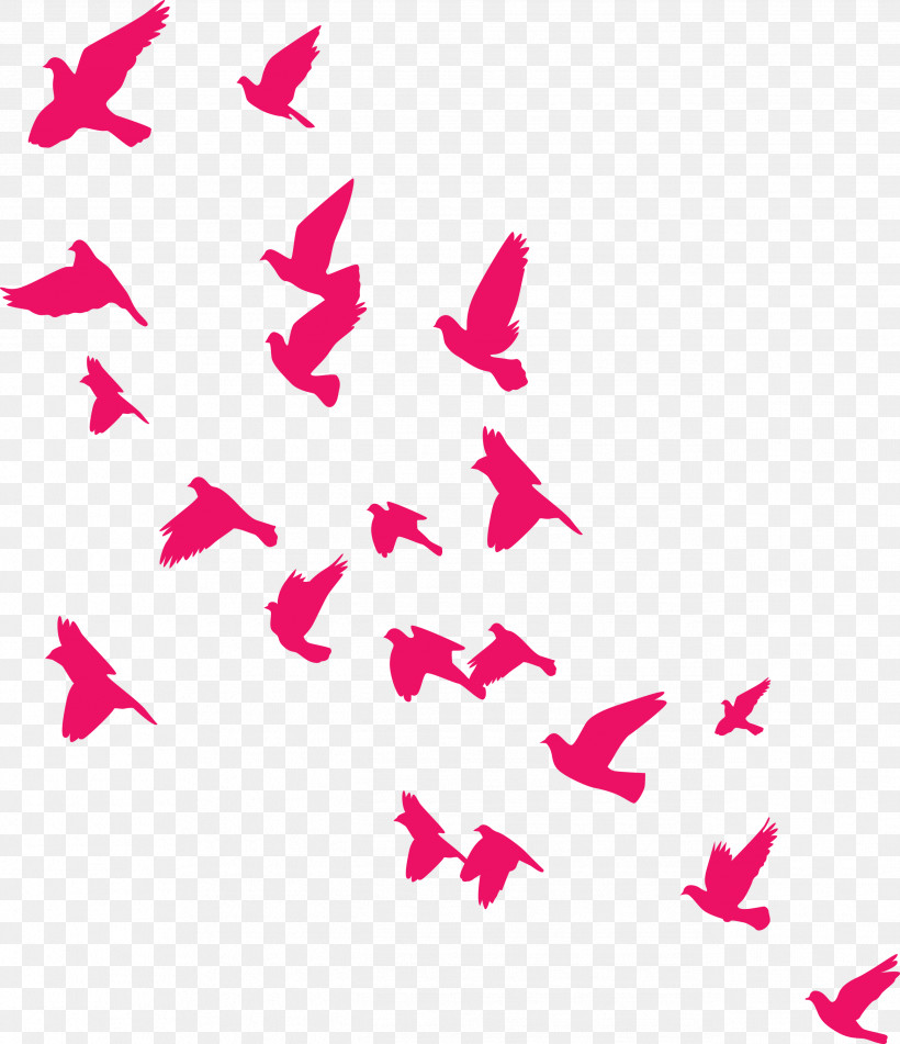 Flying Birds Background, PNG, 2586x3000px, Flying Birds Background, Line, Meter, Pink M Download Free