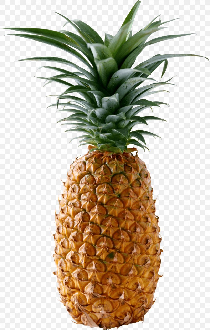 Pineapple Smoothie Fruit Clip Art, PNG, 1555x2441px, Pineapple, Ananas, Bromeliaceae, Display Resolution, Flowerpot Download Free