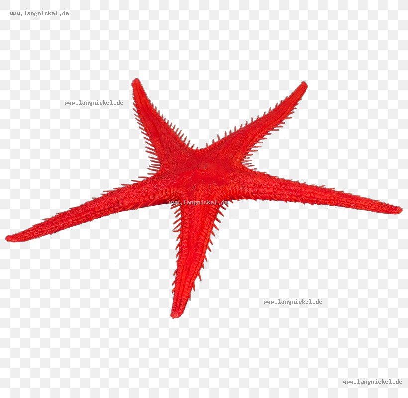 Starfish Fake Food Croissant Cherry, PNG, 800x800px, Starfish, Cherry, Computer Network, Croissant, Echinoderm Download Free