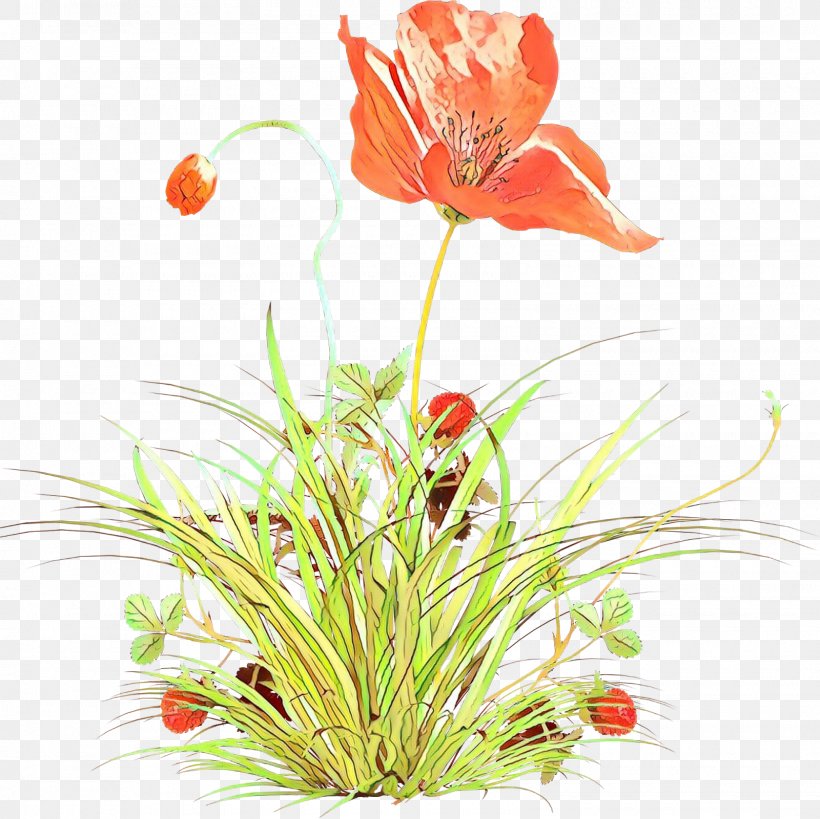 Artificial Flower, PNG, 1600x1600px, Cartoon, Anthurium, Artificial Flower, Coquelicot, Corn Poppy Download Free