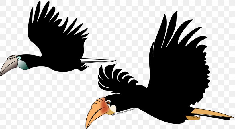 Bald Eagle Bird Hornbill Tropical Rainforest Clip Art, PNG, 1600x884px, Bald Eagle, Accipitriformes, Beak, Bird, Bird Of Prey Download Free