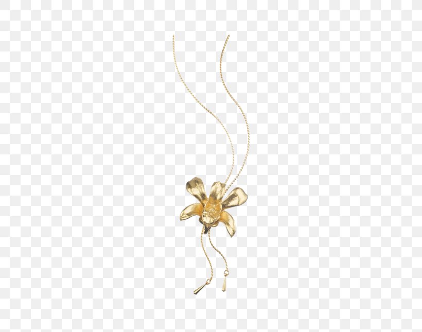 Insect Charms & Pendants Body Jewellery Necklace, PNG, 645x645px, Insect, Body Jewellery, Body Jewelry, Charms Pendants, Fashion Accessory Download Free