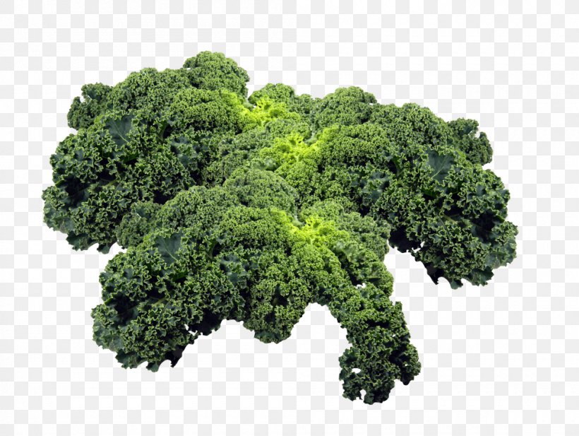 Kale Leaf Vegetable Broccoli, PNG, 1000x753px, Kale, Brassica, Brassica Oleracea, Broccoli, Cooking Download Free