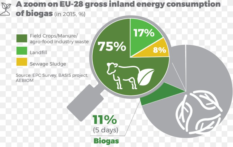 European Union Bioenergy European Biomass Association Renewable Energy, PNG, 1024x645px, European Union, Biodiesel, Bioenergy, Biofuel, Biogas Download Free