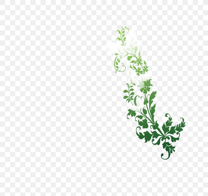 Nature Desktop Wallpaper Clip Art, PNG, 800x774px, Nature, Branch, Flora, Flower, Flowering Plant Download Free