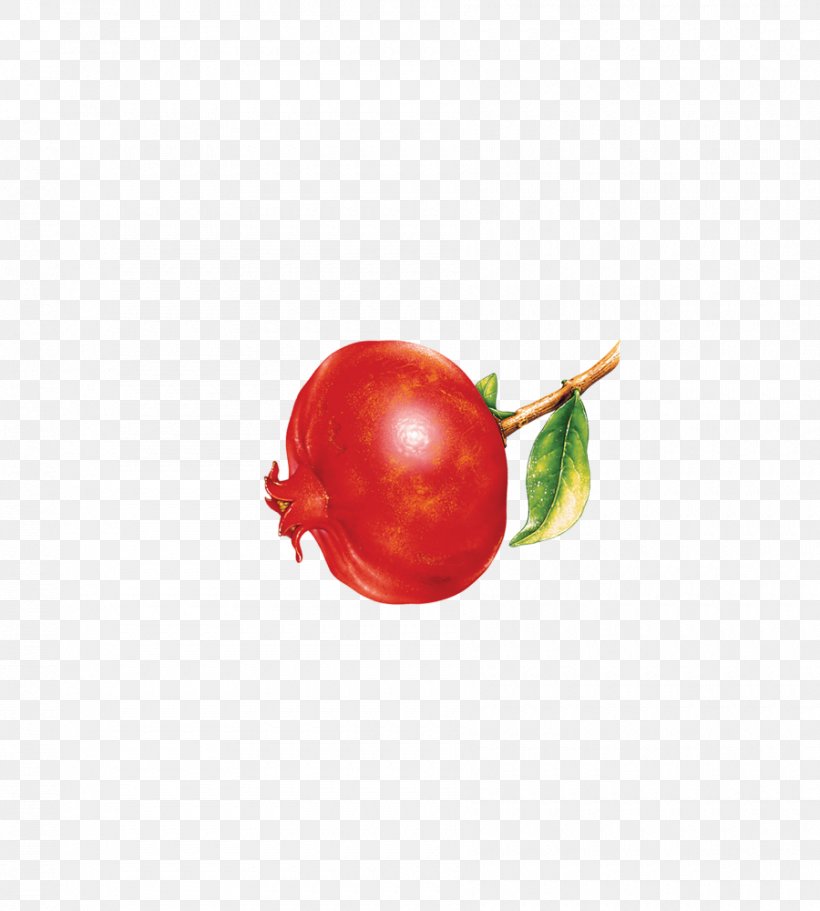 Tomato Cherry Red Fruit, PNG, 900x1000px, Tomato, Cherry, Food, Fruit, Plant Download Free