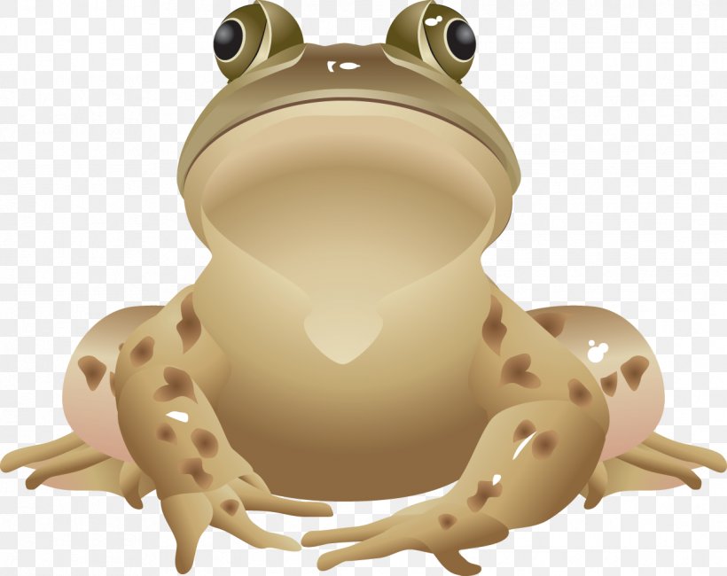 All About Frogs Edible Frog Clip Art, PNG, 1241x984px, Frog, All About Frogs, Amphibian, Edible Frog, Fauna Download Free