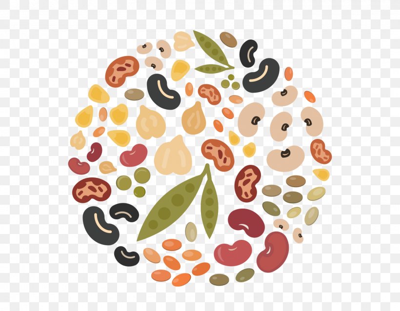 Circle Leaf, PNG, 1600x1245px, Legume, Bean, Cuisine, Food, International Year Of Pulses Download Free