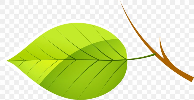 Leaf Green Euclidean Vector Download, PNG, 2000x1035px, Leaf, Grass, Gratis, Green, Plant Download Free