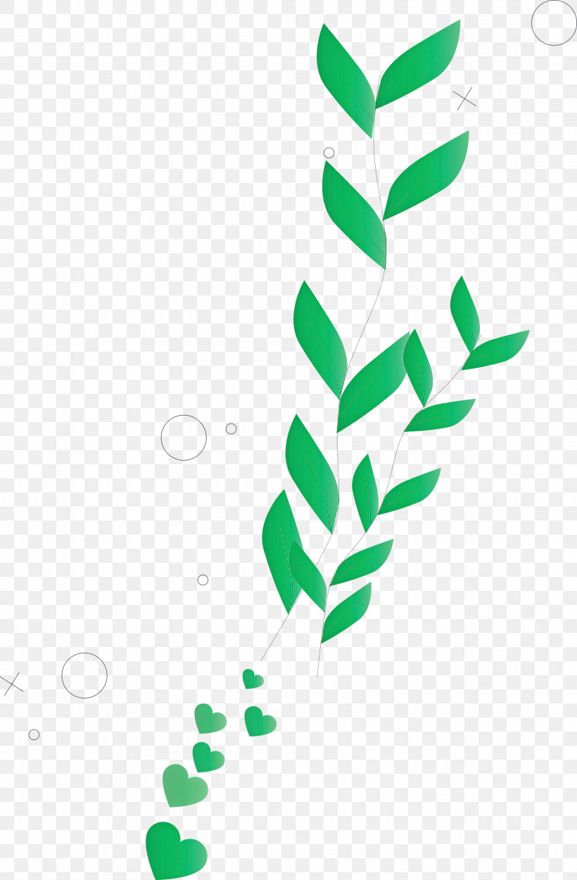 Leaf Plant Stem Logo Color Flower, PNG, 1966x3000px, Leaf, Biology, Color, Flower, Line Art Download Free