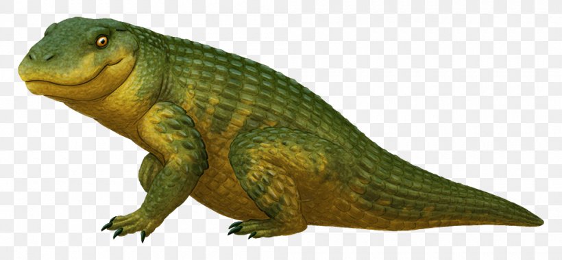 Simosuchus Late Cretaceous Crocodylomorpha Crocodile Dinosaur, PNG, 1000x464px, Late Cretaceous, Agamidae, Amphibian, Animal, Animal Figure Download Free
