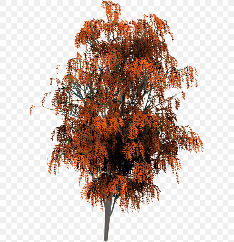 Twig Brush Tree Painting Project Dogwaffle, PNG, 610x846px, Twig, Branch, Brush, Deciduous, Leaf Download Free