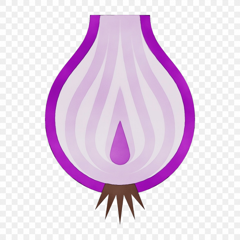Violet Purple Magenta Plant, PNG, 1056x1056px, Food Cartoon, Magenta, Paint, Plant, Purple Download Free
