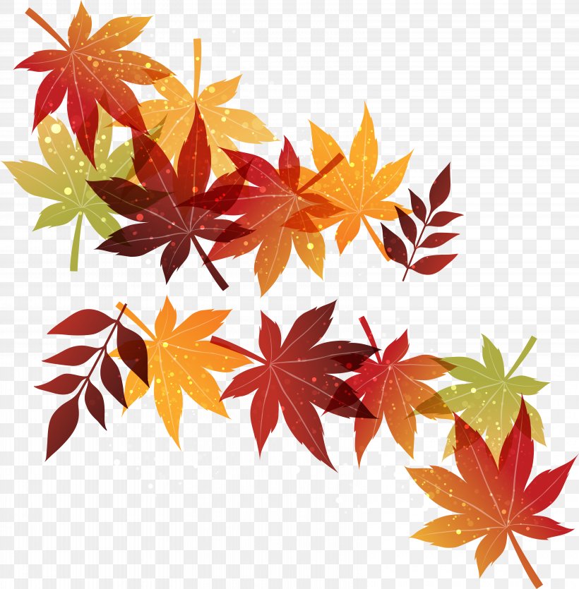Autumn Maple Leaf, PNG, 6490x6614px, Autumn, Autumn Leaf Color, Deciduous, Flowering Plant, Leaf Download Free