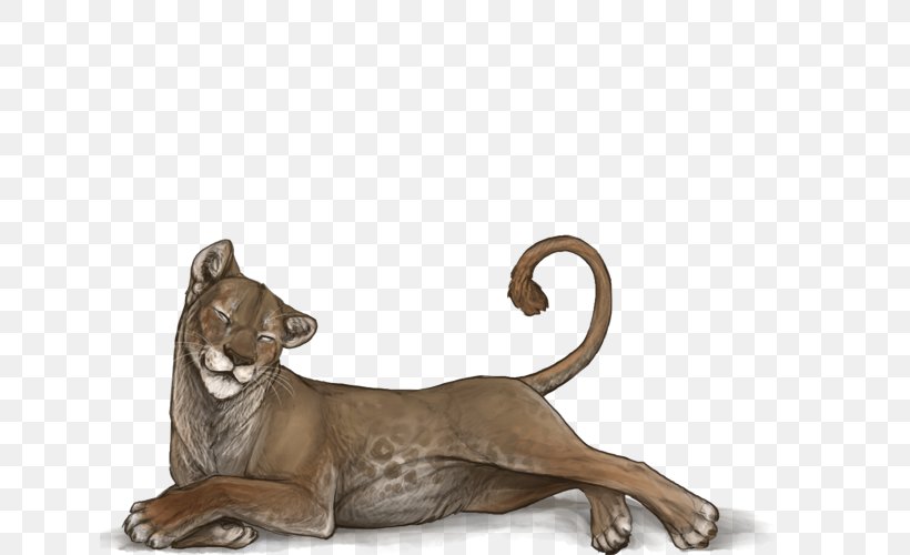 Big Cat Terrestrial Animal Puma Wildlife, PNG, 640x500px, Cat, Animal, Big Cat, Big Cats, Carnivoran Download Free