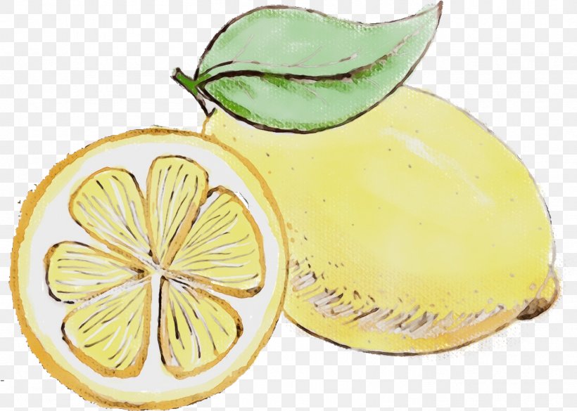 Lemon Citrus Fruit Yellow Citron, PNG, 1407x1005px, Watercolor, Citric Acid, Citron, Citrus, Food Download Free