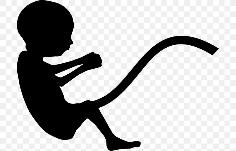 Pregnancy Fetus Infant Mother, PNG, 704x526px, Pregnancy, Artwork, Black, Black And White, Child Download Free