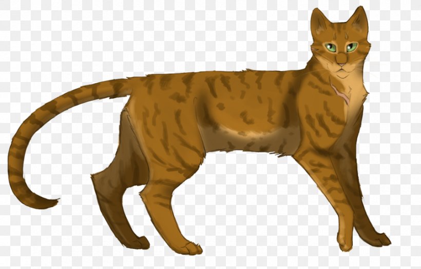 Whiskers Domestic Short-haired Cat Warriors Wildcat, PNG, 900x577px, Whiskers, Animal, Animal Figure, Carnivoran, Cat Download Free