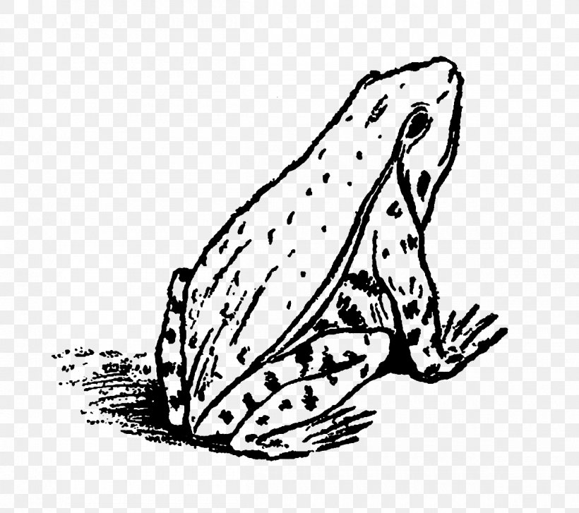 Cat Frog Black And White Clip Art, PNG, 1200x1064px, Cat, Amphibian, Area, Art, Artwork Download Free