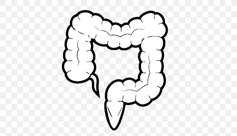 Large Intestine Cartoon Image