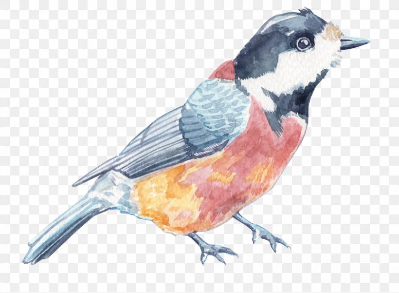 Finches Blog Application Portfolio Management Watercolor Painting, PNG, 2310x1694px, Finches, Application Portfolio Management, Beak, Bird, Blog Download Free
