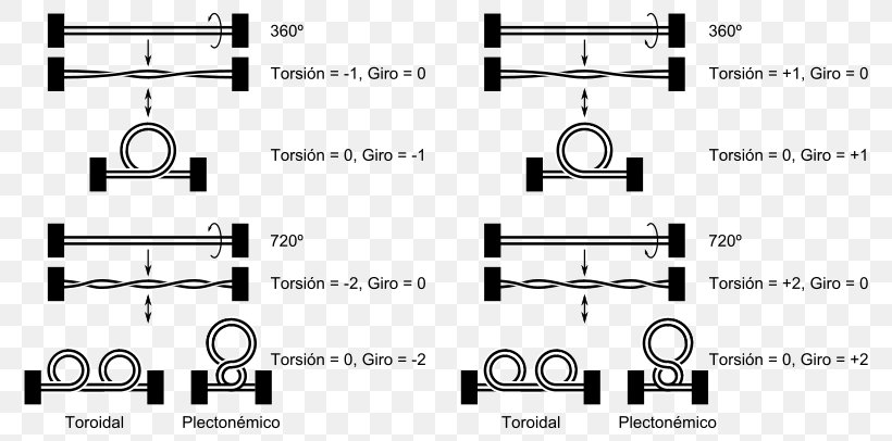 Timeline Technology Genetics DNA Computer Software, PNG, 800x406px, Watercolor, Cartoon, Flower, Frame, Heart Download Free