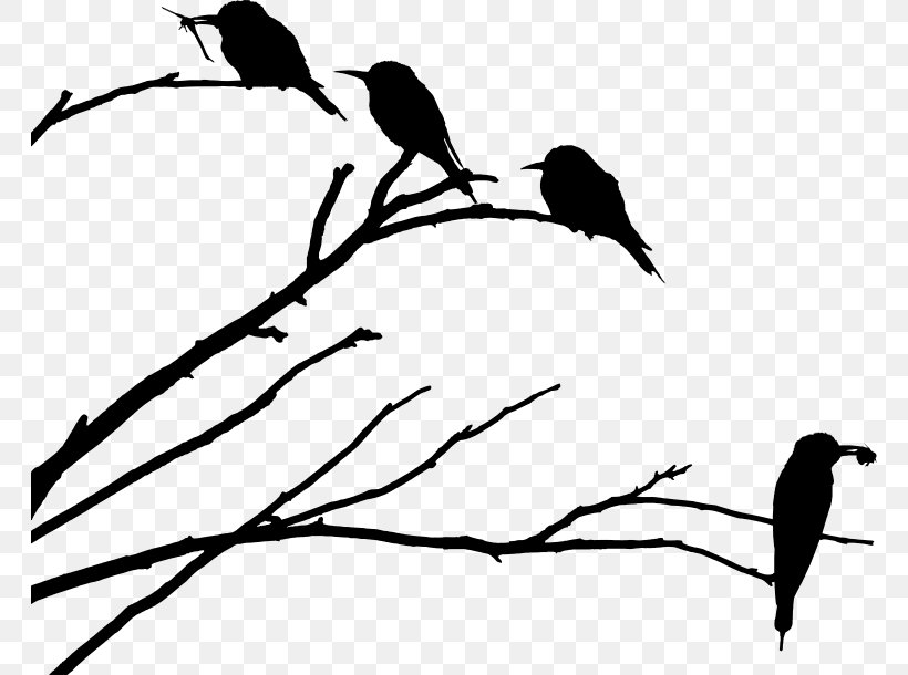 Drawing Father Bird Silhouette, PNG, 764x610px, Drawing, Beak, Bird, Black And White, Branch Download Free