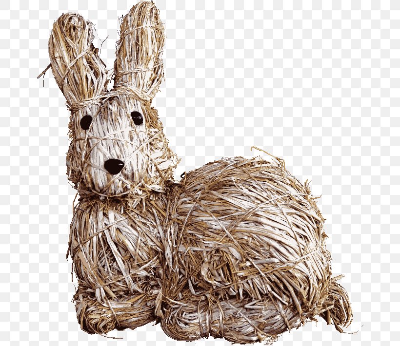 Easter Bunny Rabbit Hare, PNG, 670x710px, Easter Bunny, Dog Like Mammal, Easter, Hare, Pet Download Free
