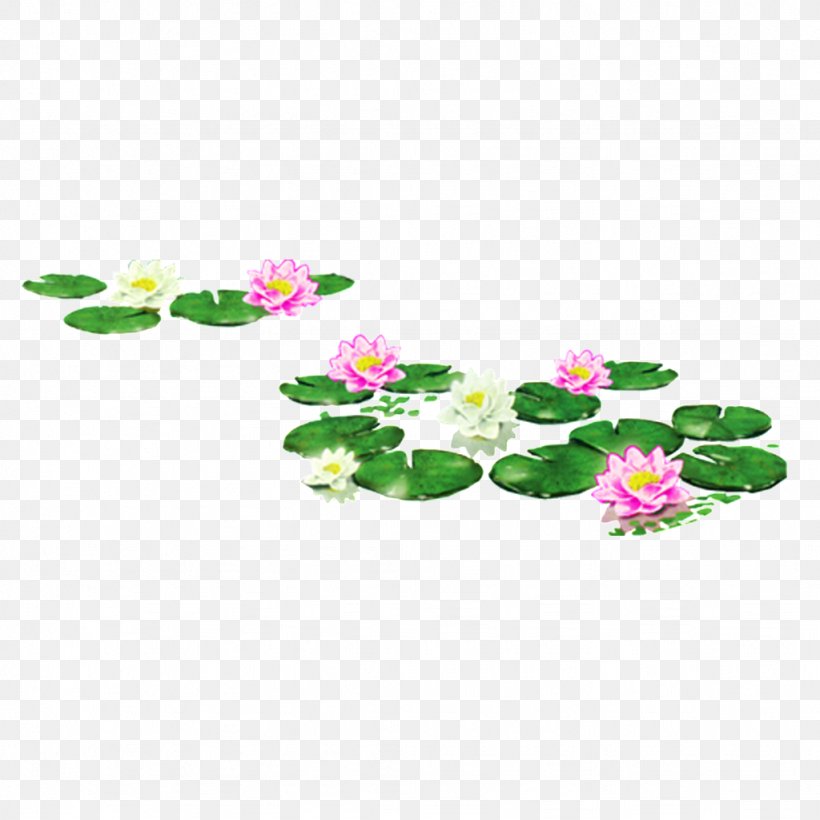 Sacred Lotus Image Design, PNG, 1024x1024px, Sacred Lotus, Annual Plant, Flora, Floral Design, Flower Download Free
